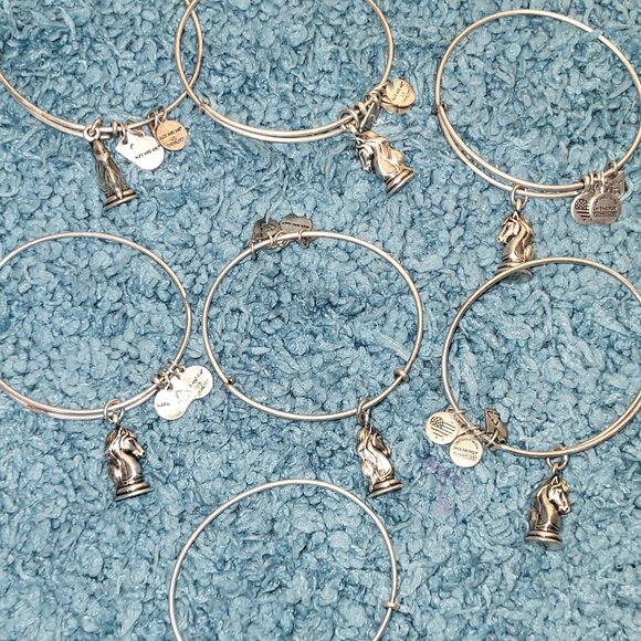 7 Bracelets - Alex And Ani The Knight Russian Silver Finish Charm Bangle - Picture 2 of 2